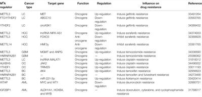 The Emerging Role of N6-Methyladenosine RNA Methylation as Regulators in Cancer Therapy and Drug Resistance